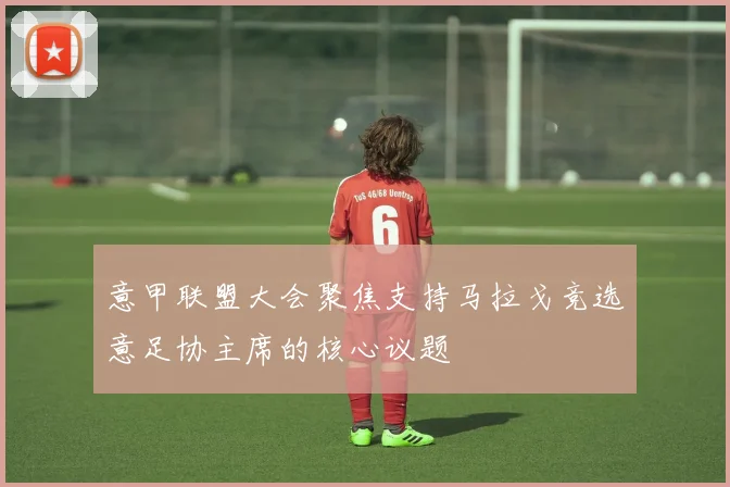 意甲联盟大会聚焦支持马拉戈竞选意足协主席的核心议题