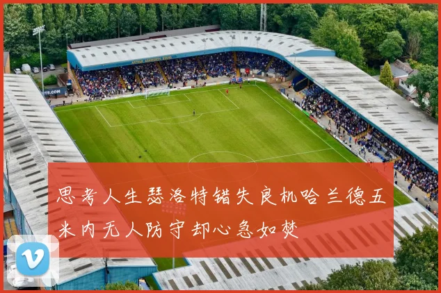 思考人生瑟洛特错失良机哈兰德五米内无人防守却心急如焚